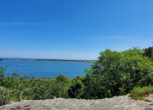 A serene view of a blue lake surrounded by greenery under a clear blue sky.