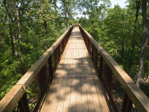 A wooden walkway stretches through a lush green forest, surrounded by trees on both sides.