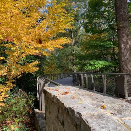 A winding stone path through a vibrant autumn forest with colorful leaves and lush greenery.