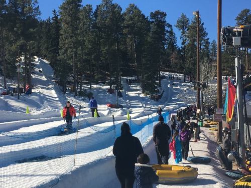 People enjoying snow tubing on a sunny day, surrounded by trees and snowy hills.