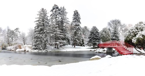 A snowy landscape featuring a red bridge over a frozen pond, surrounded by evergreen trees and a serene winter scene.