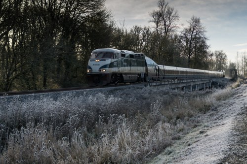 A train travels along a frosty landscape, surrounded by trees and a misty atmosphere.