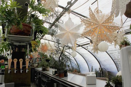 A cozy greenhouse with hanging paper snowflakes, plants, and a bar area featuring wooden taps.