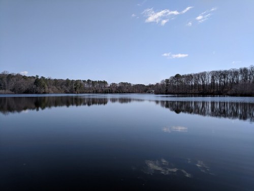 A calm lake reflecting a clear blue sky and trees along the shore, with gentle ripples on the water's surface.