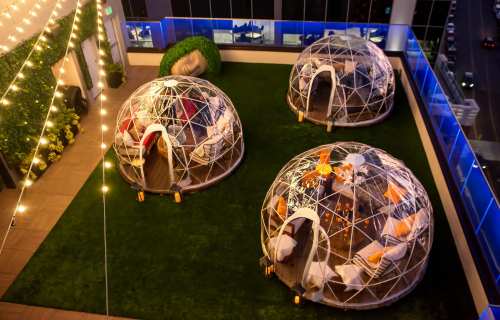 Three geodesic domes on a rooftop, surrounded by greenery and string lights, with a city view in the background.