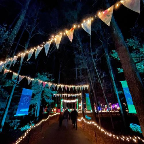 A nighttime forest path adorned with colorful lights and banners, creating a festive atmosphere.