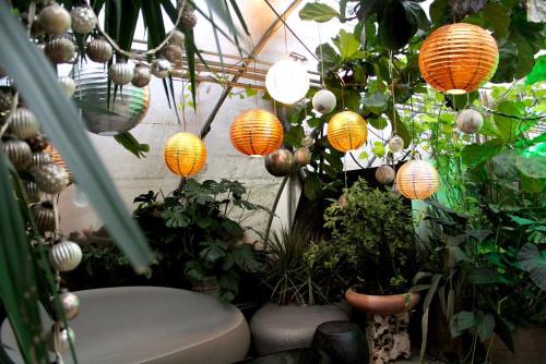 A cozy indoor space filled with lush plants and glowing lanterns, creating a warm and inviting atmosphere.