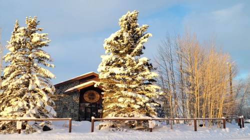 A snow-covered building surrounded by tall evergreen trees and bare branches under a clear blue sky.