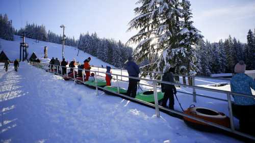 People pulling colorful snow tubes up a snowy slope, surrounded by evergreen trees and a clear blue sky.