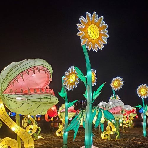 Colorful illuminated flowers and a large, whimsical plant with a wide-open mouth, glowing against a night sky.