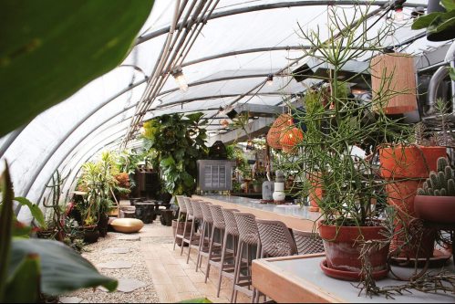 A cozy greenhouse interior filled with plants, featuring a long bar and seating area under a curved roof.