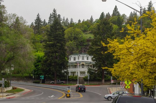 A large white Victorian house surrounded by trees, viewed from a winding road with yellow flowers in the foreground.