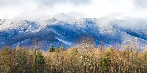 Snow-capped mountains rise above a forest of bare trees, with clouds drifting across the sky.