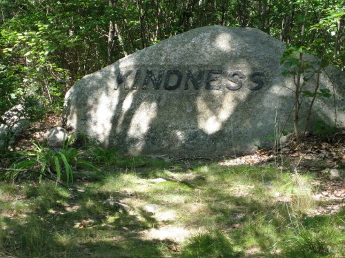 A large rock in a forest with the word "KINDNESS" engraved on it, surrounded by greenery and sunlight.