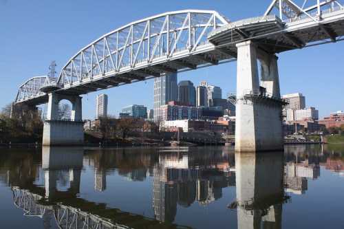 A bridge spans a river with city skyscrapers reflected in the water under a clear blue sky.