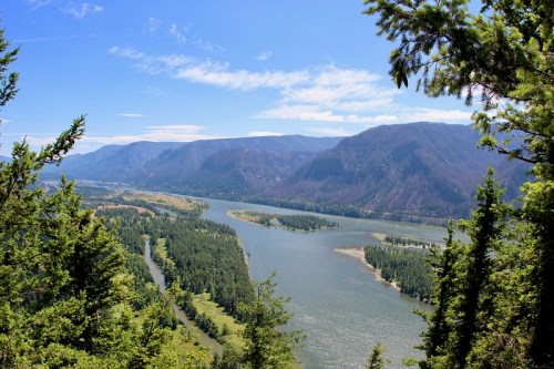 A scenic view of a river winding through lush green forests and mountains under a clear blue sky.
