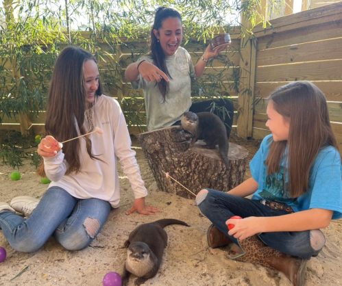 Two girls and a woman interact with playful otters in a sandy enclosure, enjoying snacks and laughter.