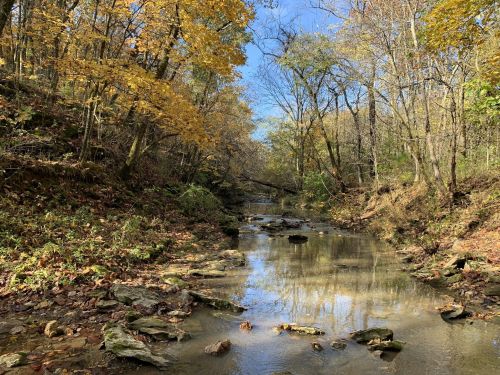 A serene creek surrounded by autumn foliage and trees, reflecting the blue sky and colorful leaves.