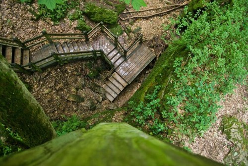Aerial view of wooden stairs winding through lush greenery and rocky terrain in a forested area.