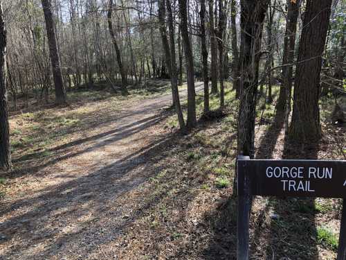 A wooded trail with a sign reading "Gorge Run Trail," surrounded by trees and dappled sunlight.