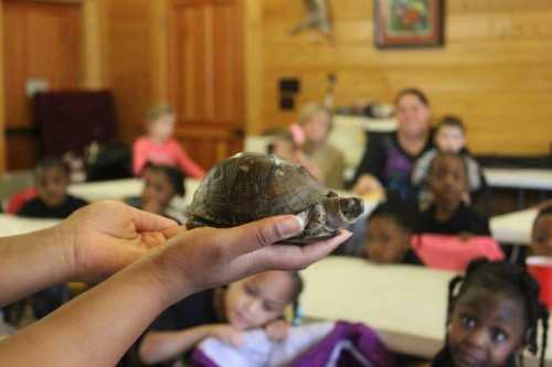 A person holds a turtle in a classroom filled with children watching curiously.