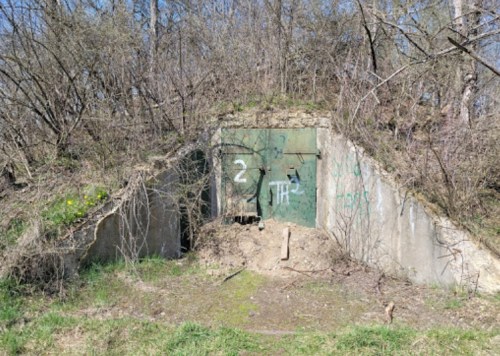 An overgrown concrete bunker entrance with a green door, surrounded by trees and grass in a natural setting.