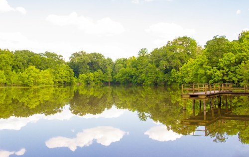 A serene lake surrounded by lush greenery, with a wooden dock and reflections of clouds in the water.