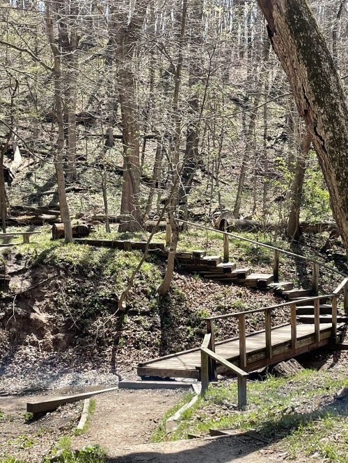 A winding wooden path through a forest with trees and greenery, leading to a small bridge over a creek.