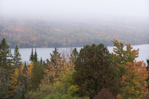 A misty landscape featuring a lake surrounded by trees in vibrant autumn colors.