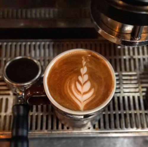 A close-up of a latte with intricate leaf latte art, placed on a metal espresso machine surface.