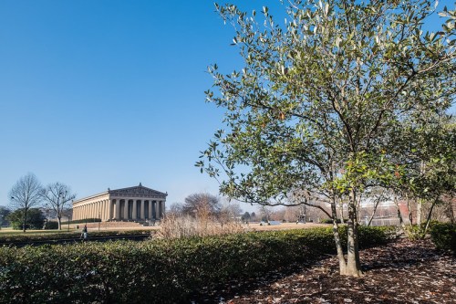 A clear blue sky frames a classical building, surrounded by trees and greenery in a park setting.