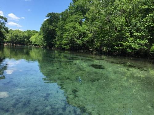 A serene, clear lake surrounded by lush green trees under a bright blue sky.