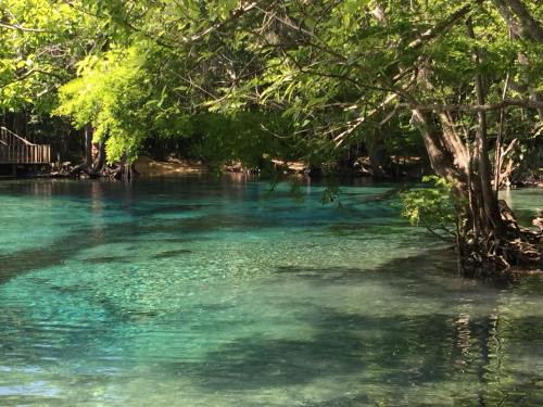 A serene, clear blue-green river surrounded by lush greenery and trees, reflecting sunlight.