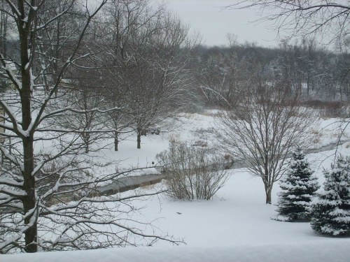 A snowy landscape with bare trees, a winding stream, and evergreen shrubs in a tranquil winter scene.