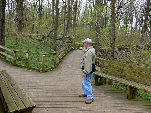 A man stands on a wooden path in a forest, pointing towards a bend in the trail surrounded by greenery.