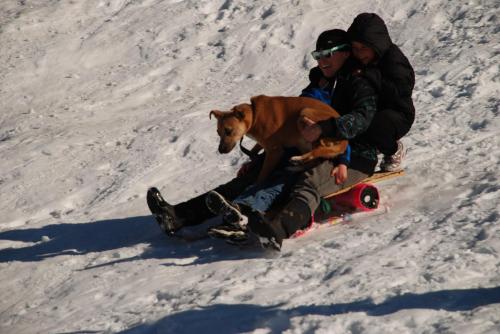 Two people sledding down a snowy hill, with a dog sitting between them on the sled.