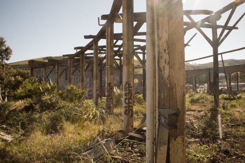 Abandoned structure with weathered beams, overgrown vegetation, and graffiti under a clear blue sky.