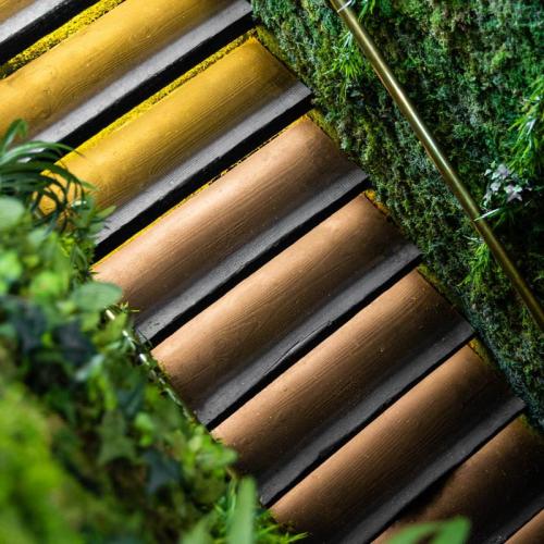 A staircase with wooden steps illuminated by warm lights, surrounded by lush green moss and plants.