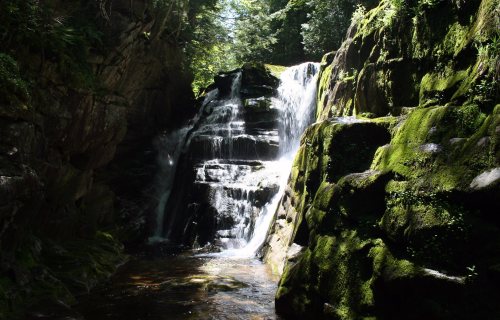 A serene waterfall cascading over moss-covered rocks, surrounded by lush greenery and dappled sunlight.