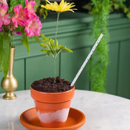 A small potted plant with a yellow flower and a white straw, sitting on a marble table with colorful flowers in the background.