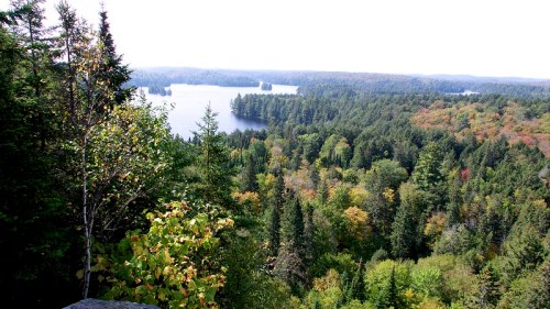 A scenic view of a lush forest and a tranquil lake, with vibrant autumn foliage in the background.