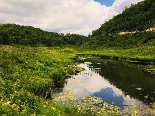 A serene landscape featuring a calm pond surrounded by lush greenery and trees under a partly cloudy sky.