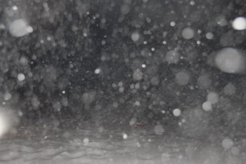 A snowy scene with heavy snowfall, creating a blurred effect and obscuring visibility in the background.