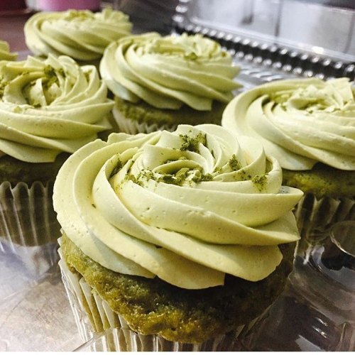 Close-up of green tea cupcakes with swirled matcha frosting, displayed in a clear container.