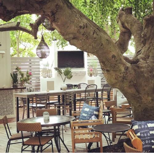 A cozy outdoor café with wooden furniture, a large tree, and decorative plants, creating a serene atmosphere.