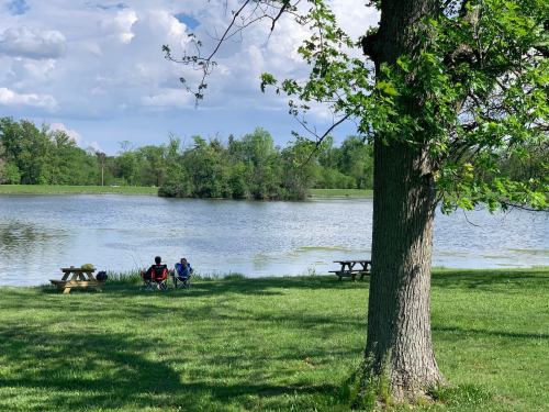 Two people sit by a serene lake, surrounded by greenery and under a tree, enjoying a peaceful day outdoors.