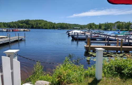 A serene lake view with boats docked, surrounded by green trees and a clear blue sky.