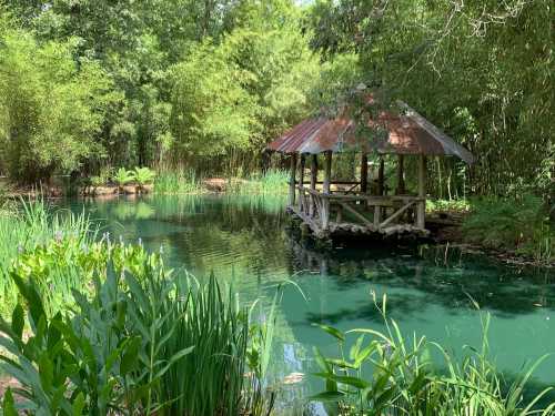 A serene pond surrounded by lush greenery, featuring a wooden gazebo with a rusted roof.