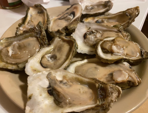 A plate of freshly shucked oysters, some with a glistening appearance, arranged neatly.