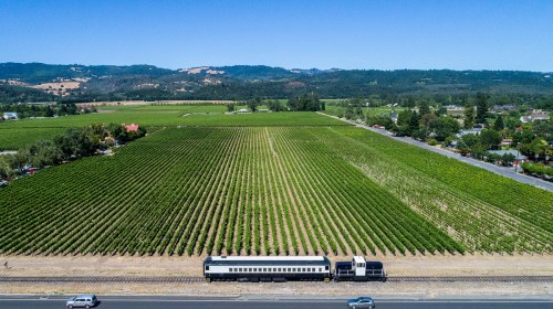 Aerial view of a vineyard with rows of grapevines and a vintage train car alongside a road. Clear blue sky above.
